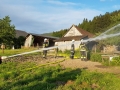 IMG-20190608-WA0032
